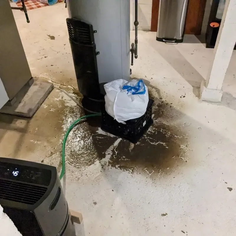 Sewage Backup Cleanup Service in Autauga County, AL